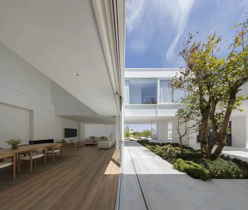 Interior living space opening to a planted courtyard with a mature tree under blue sky