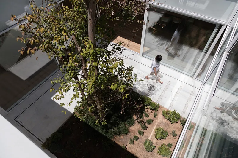 Overhead view of an interior courtyard with a tree and planted beds between glass-walled rooms