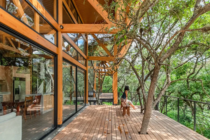 Covered timber deck with exposed post-and-beam structure threading through existing trees among woodland