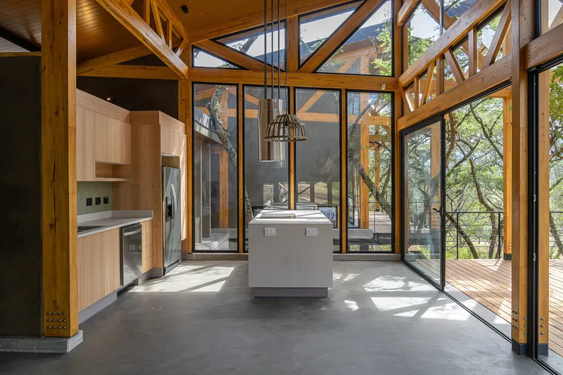 Kitchen and dining area with concrete island beneath exposed timber trusses and full-height glazing to woodland