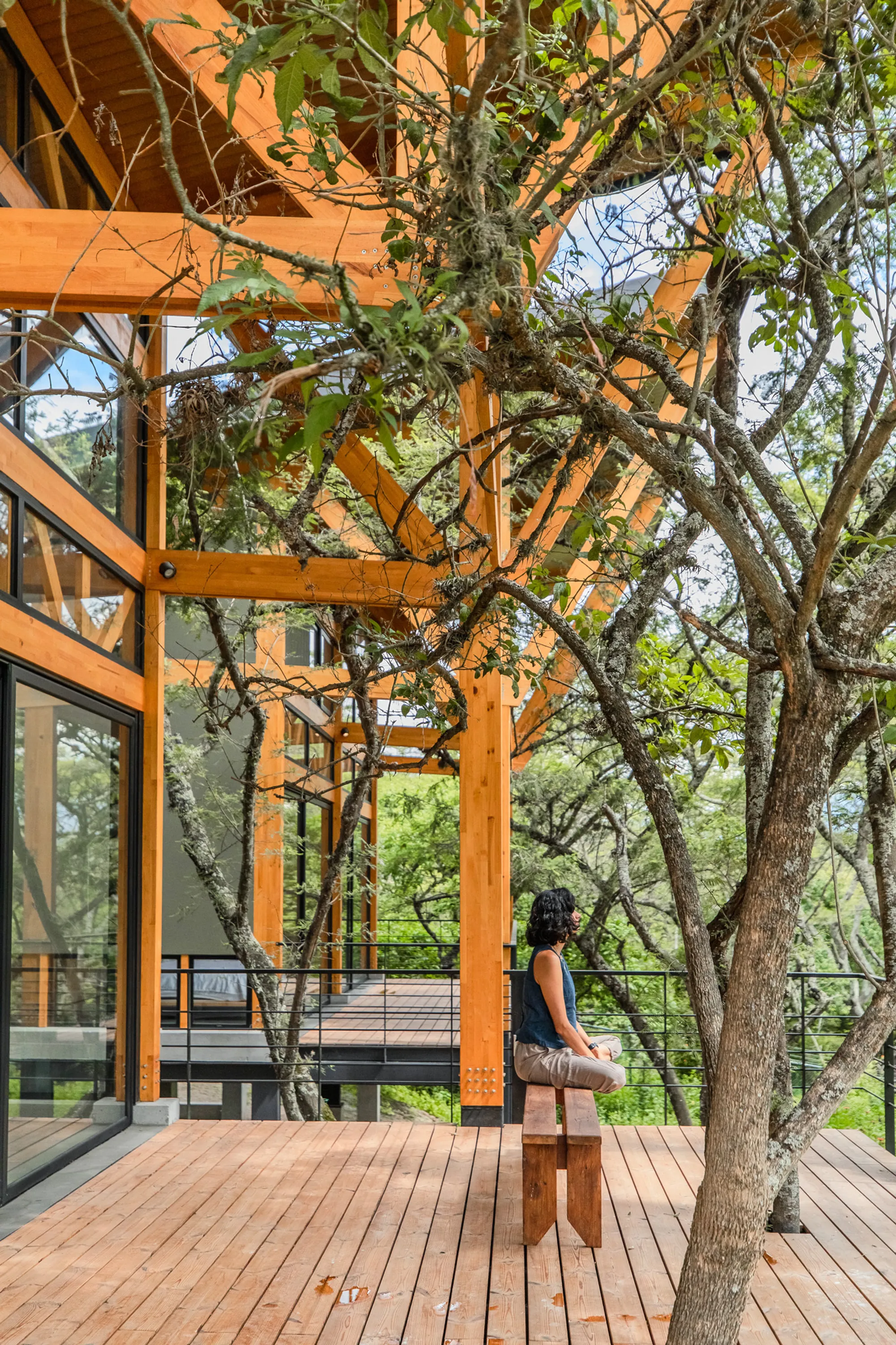 A Timber House That Yields to the Forest Around It