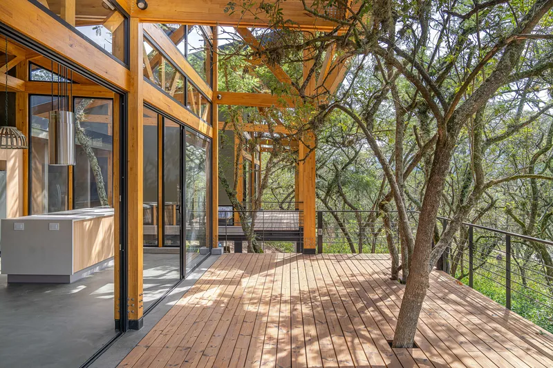 Wooden deck terrace with exposed timber structure integrating mature trees and cable railing in dappled sunlight