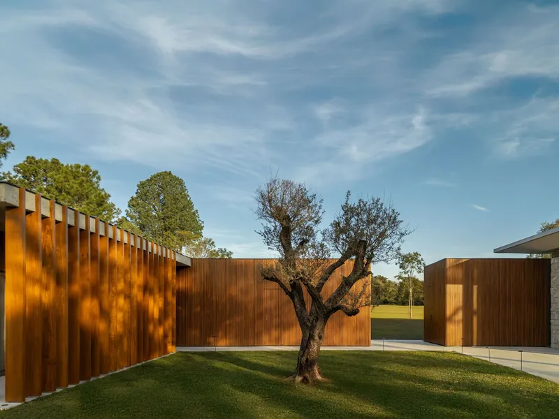 Courtyard lawn with a gnarled tree framed by vertical timber-clad screens and planted bed