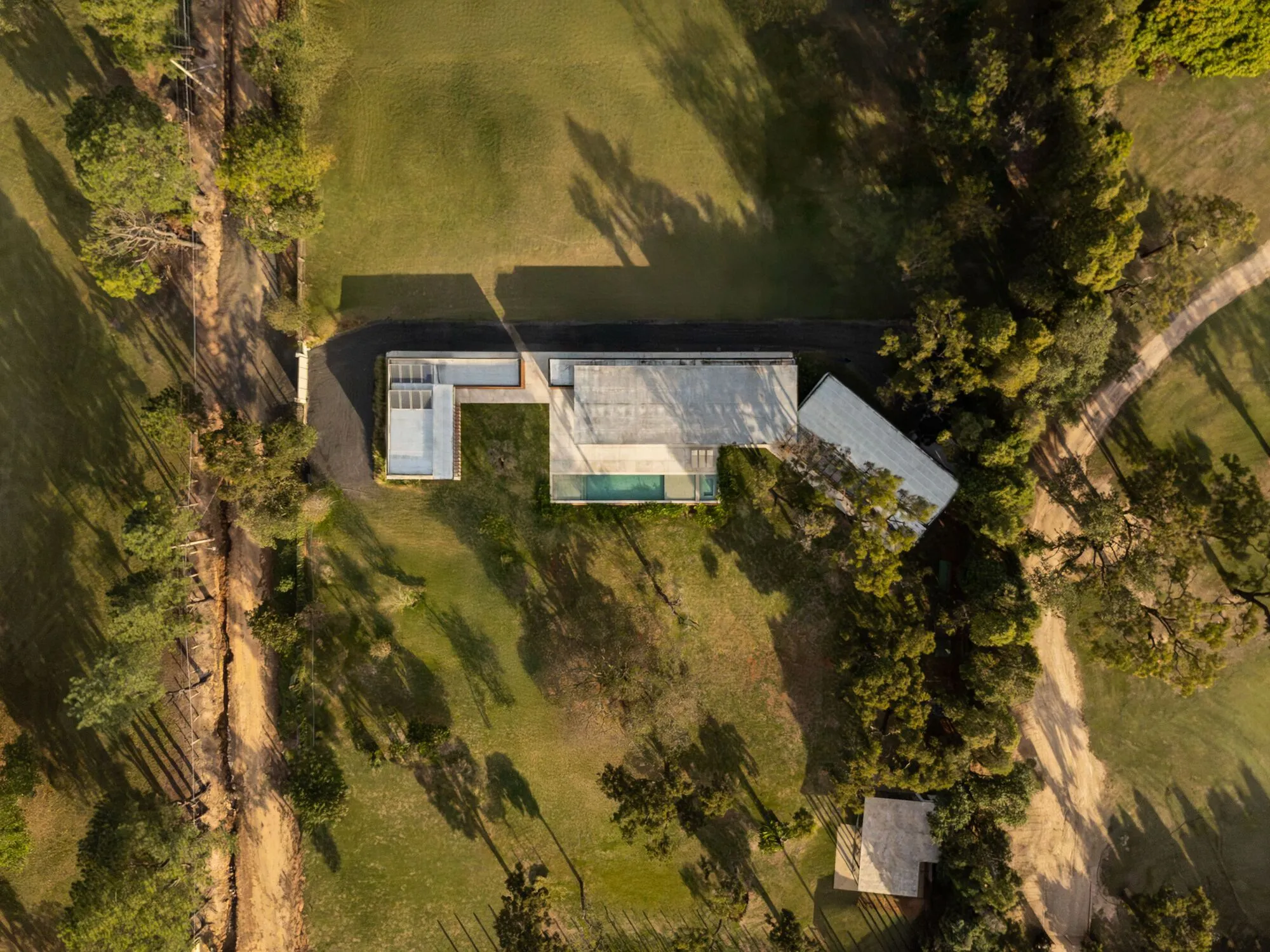 GC House Wraps Its Architecture Around a Tree