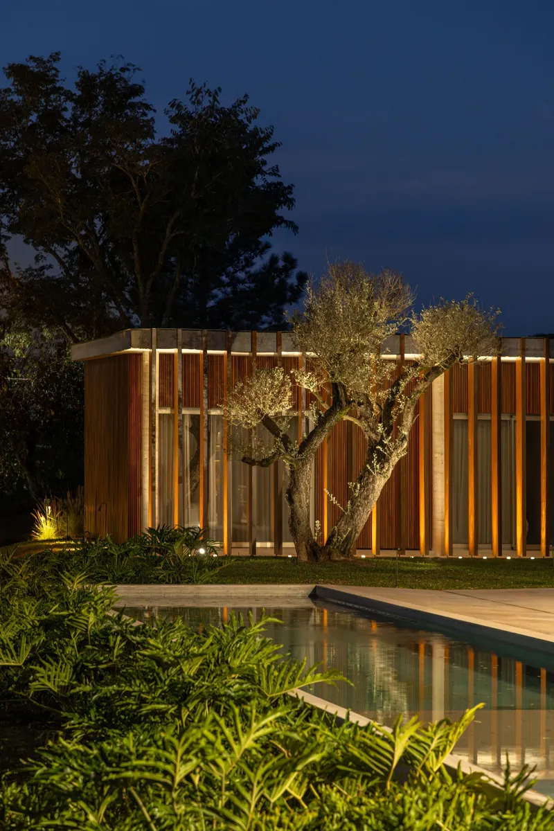 Vertical timber slat facade illuminated beside a pool and olive tree at dusk