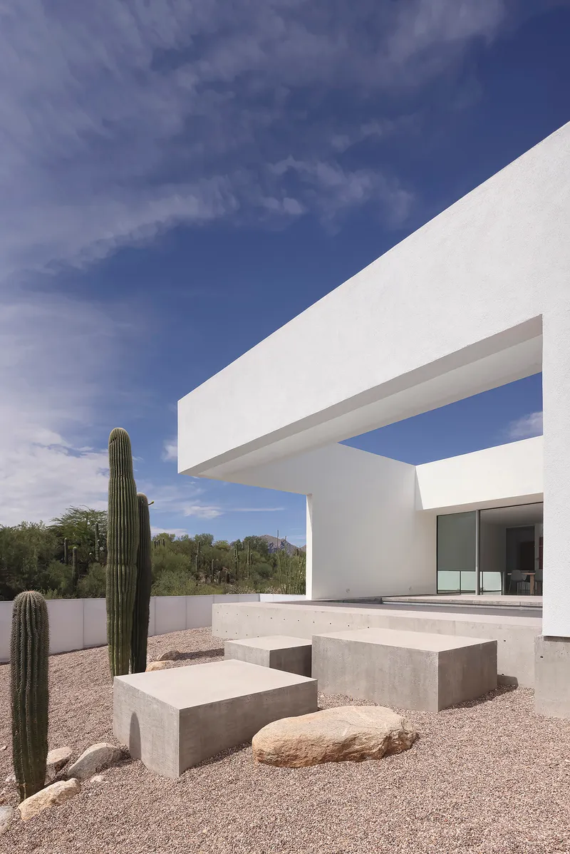 Cantilevered white roof plane sheltering concrete benches and gravel courtyard with towering saguaro cacti