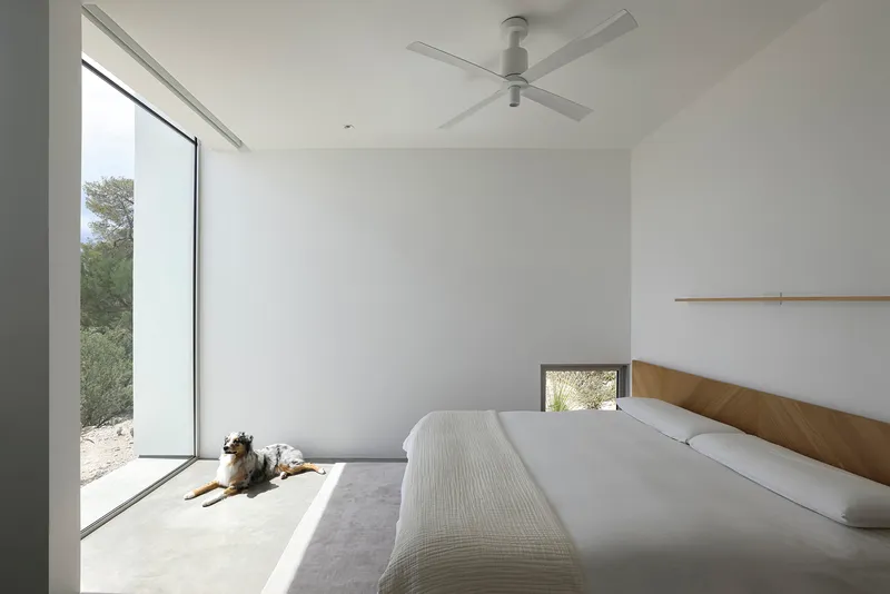 Bedroom with floor-to-ceiling glazing and a dog resting on the polished concrete floor