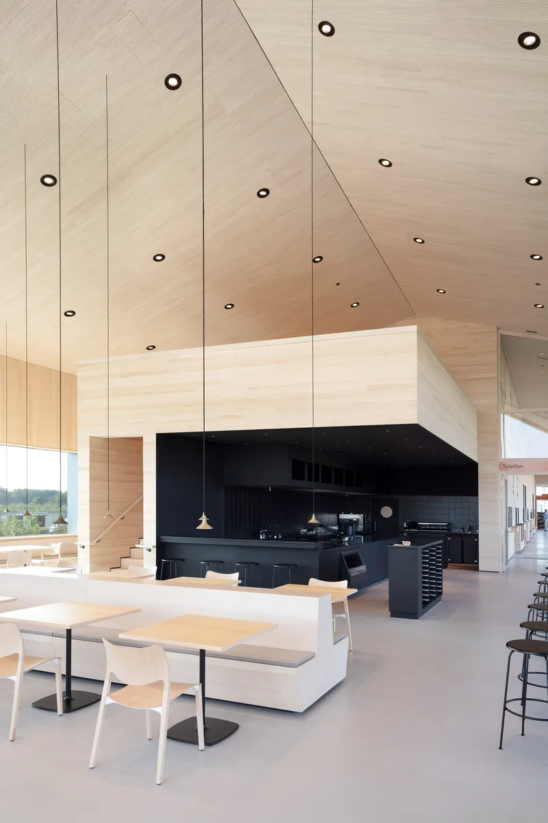 Open kitchen and dining area with pale timber ceiling, black island and recessed downlights