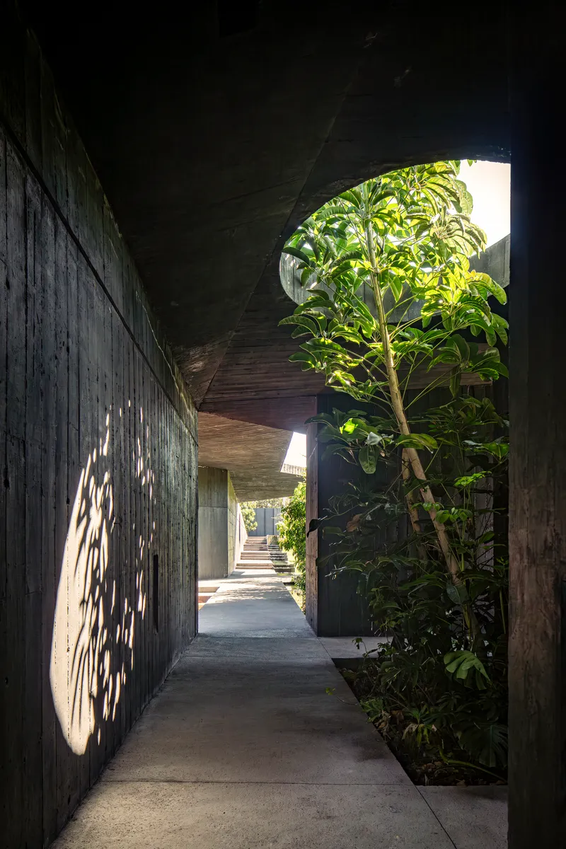Board-formed concrete corridor with overhead openings allowing dappled light and planted alcoves