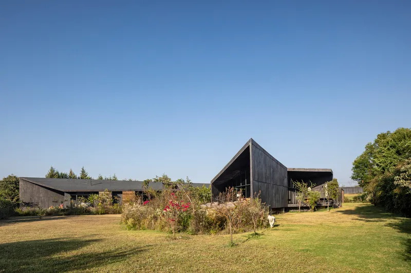 Two pitched-roof volumes clad in dark timber with planted beds in the foreground under clear sky