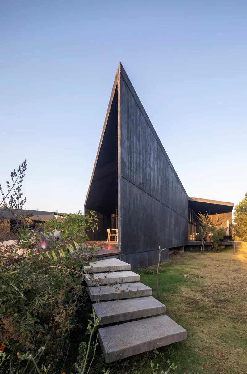 Triangular gabled facade with dark cladding and concrete steps leading up from garden plantings at sunset