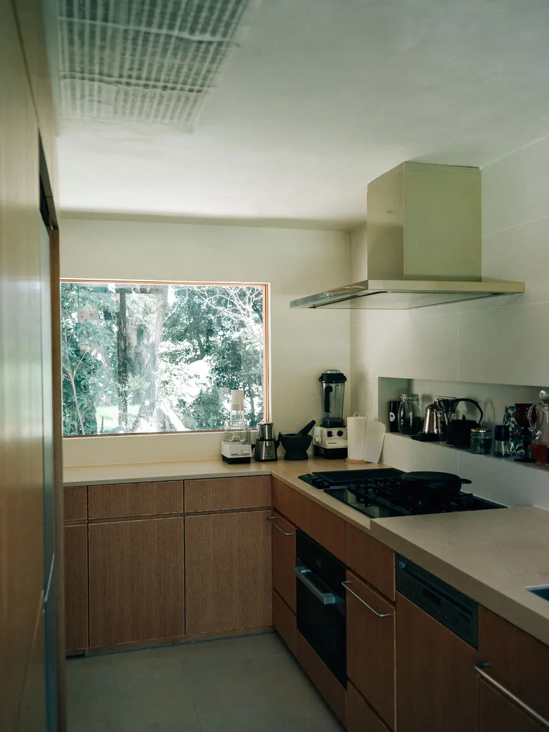 Compact kitchen with timber cabinetry and skylight revealing trees through the window
