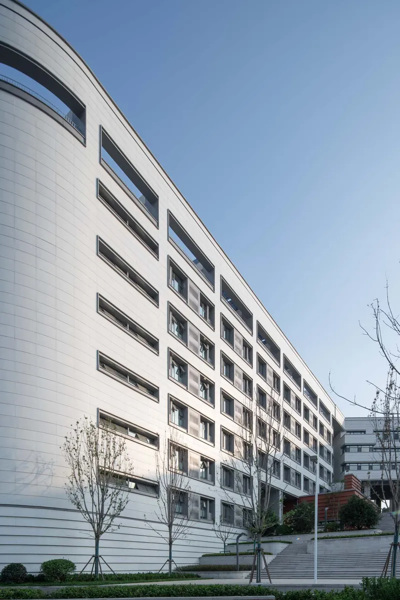 White horizontal panel facade with punched windows rising above a landscaped terrace and young trees