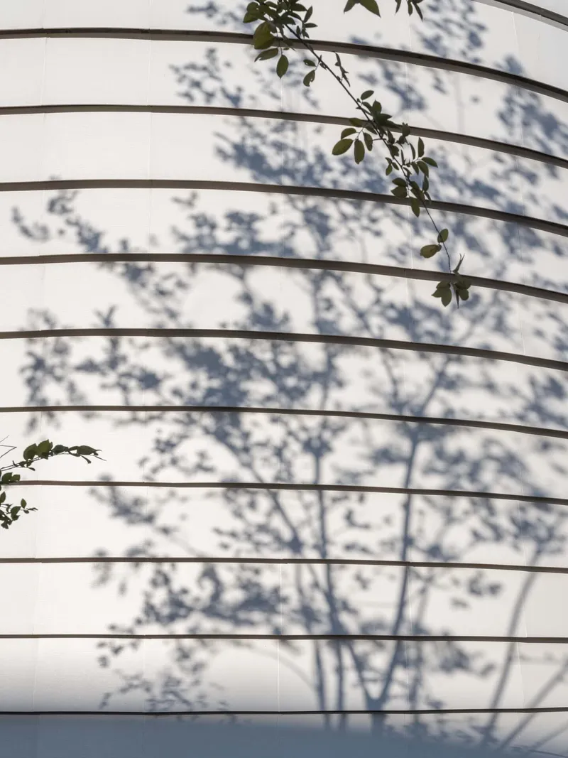 White horizontal louver facade with tree shadows and climbing vines in afternoon light