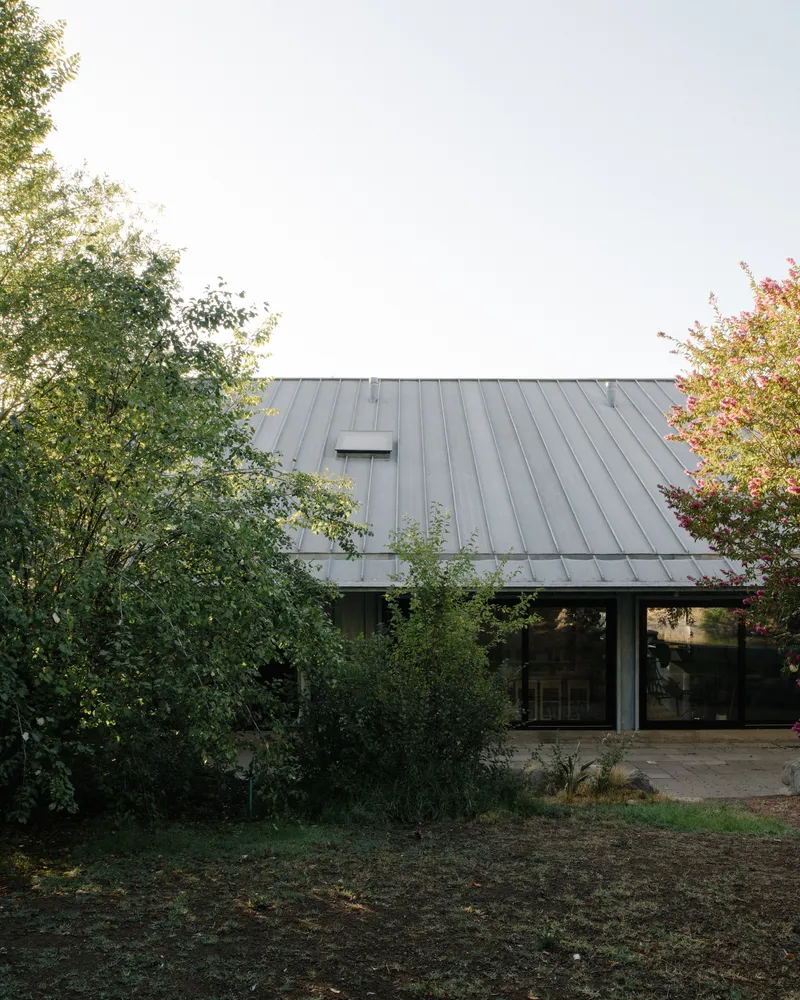 Standing seam metal roof emerging from surrounding trees in soft afternoon light