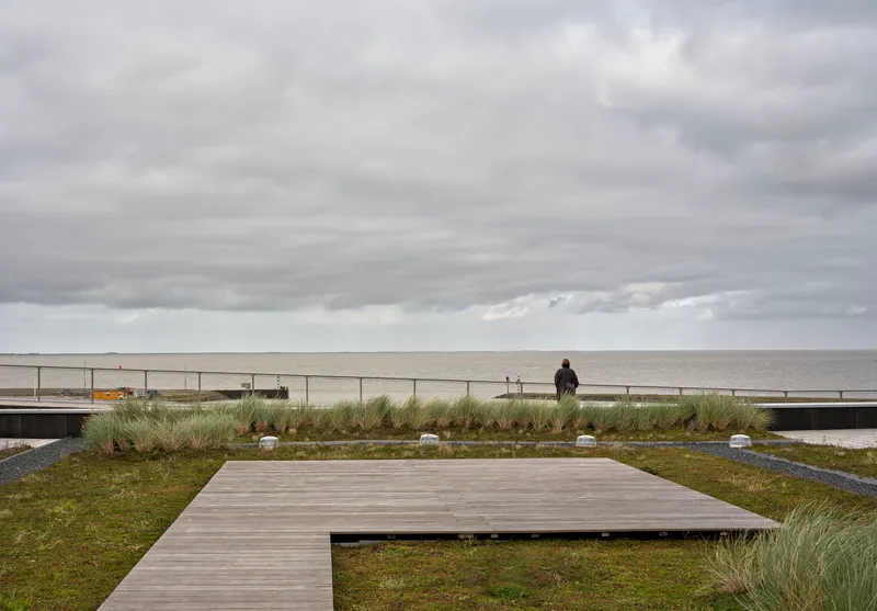 Timber deck platform with planted grasses and figure at railing facing the ocean under overcast sky
