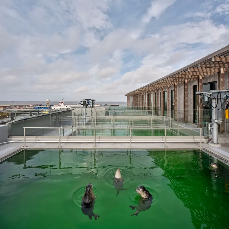 Outdoor seal pool with glass and steel enclosures beside timber slat facade and harbor beyond