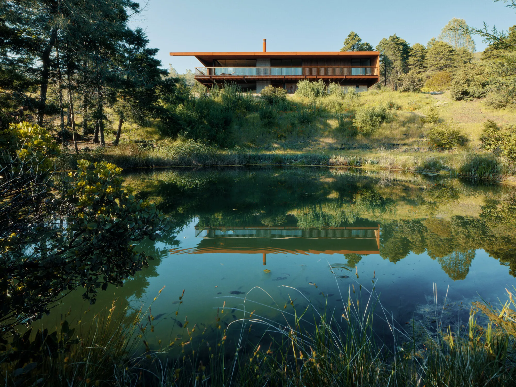 Faulkner Architects Rebuilds a Fire-Destroyed Retreat as a Corten and Timber Hideout in Healdsburg