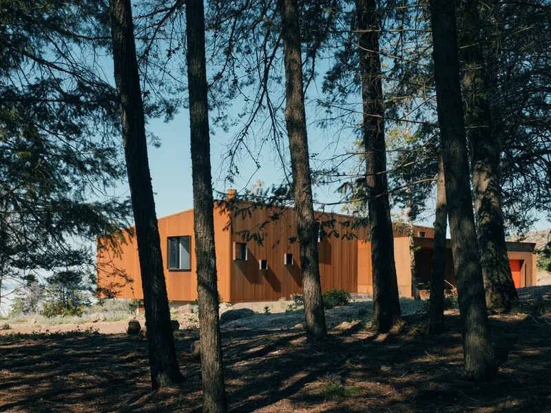Corten-clad volume visible through tall pine trees on a sloped site