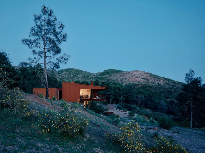 Hillside residence with corten cladding and overhanging roof at dusk with wildflowers in foreground