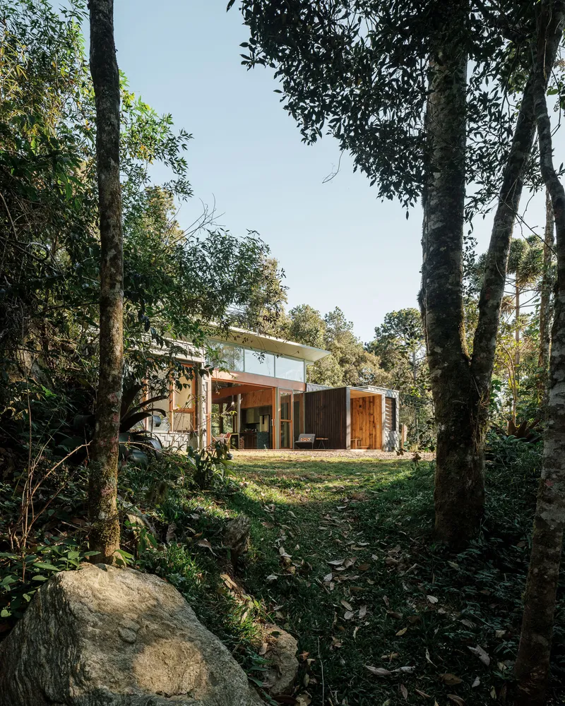 Rear elevation with timber and concrete volumes framed by native trees in dappled sunlight