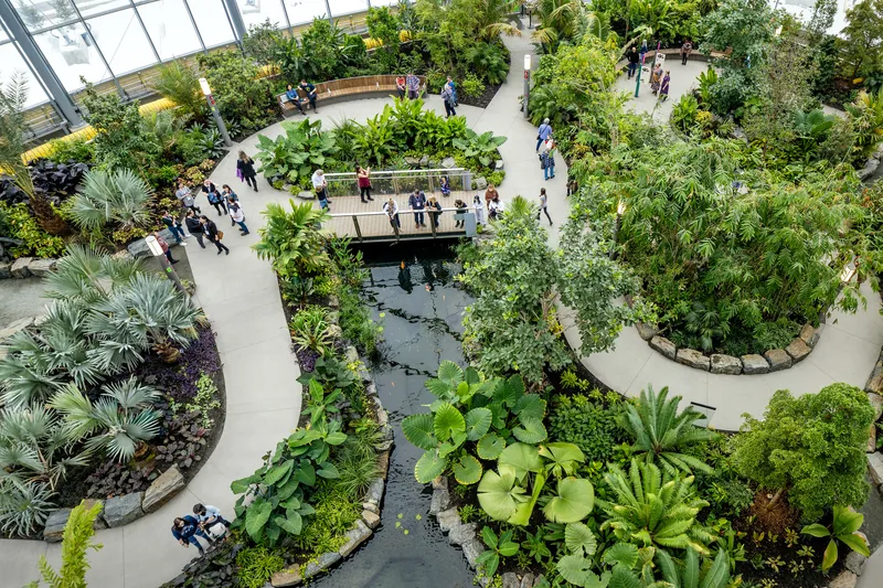 Overhead view of the curving interior pathways winding through planted beds with palms and water features