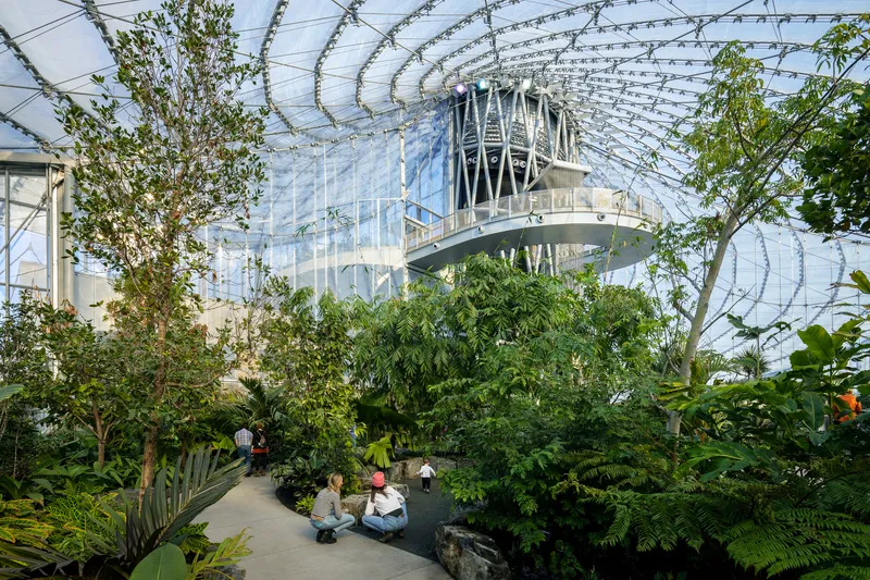 Elevated walkway spanning the conservatory interior with visitors below among dense tropical plantings