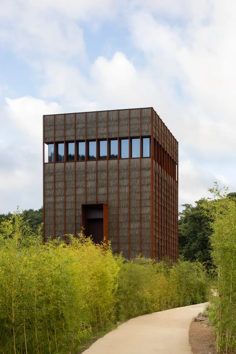 Weathered wood facade with vertical battens and clerestory band of windows surrounded by emerging foliage