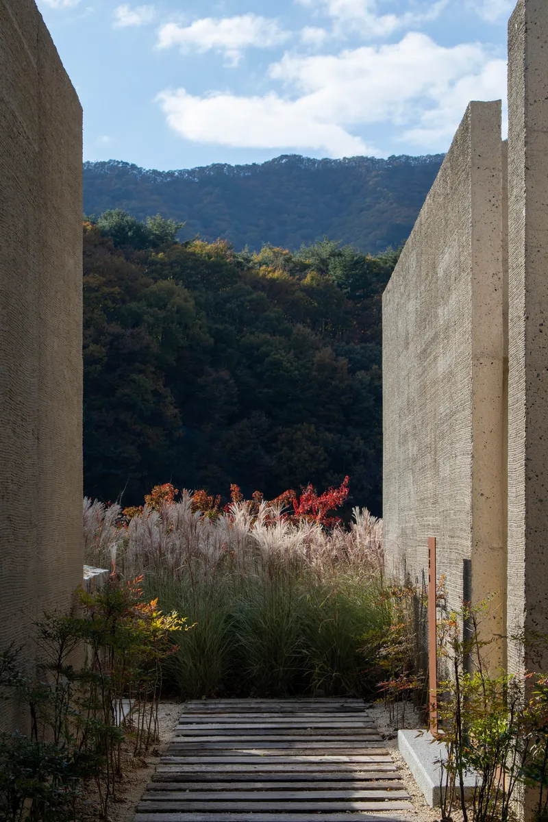 View between textured concrete walls framing a planted courtyard and the forested mountains beyond