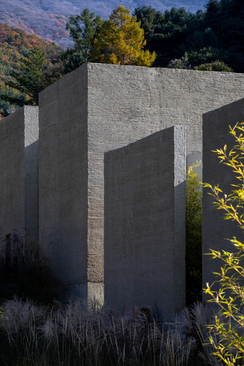 Textured concrete wall planes intersecting at angles with autumn foliage and ornamental grasses at the base