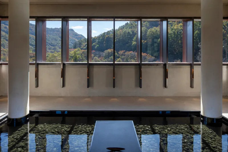 Interior pool chamber with ribbon windows overlooking forested hills and concrete beam mullions