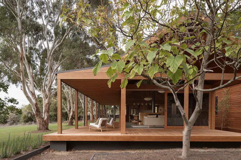 Covered timber deck extending into the garden with chairs and deciduous tree growing through the space
