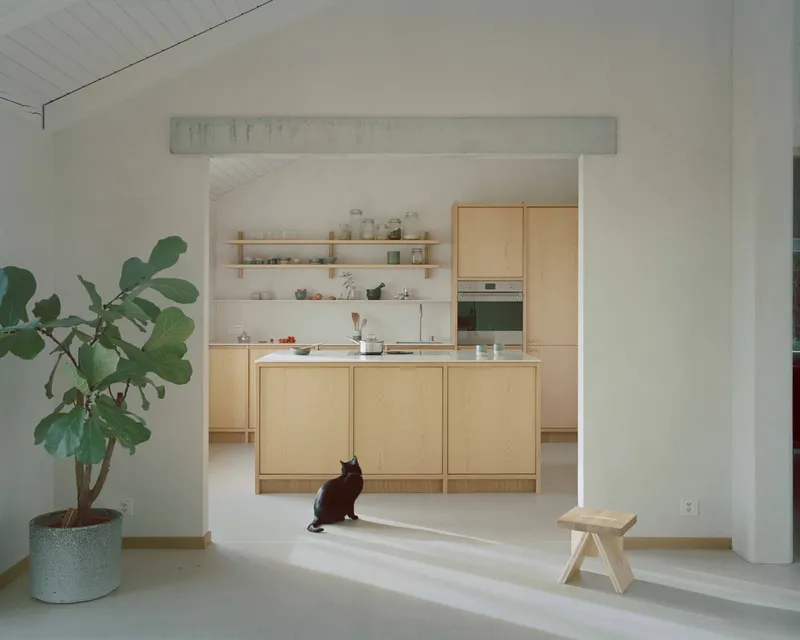 Kitchen alcove with light wood cabinetry and open shelving, a cat sitting on the threshold
