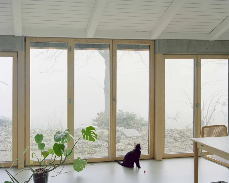 Floor-to-ceiling timber windows looking onto a misty rocky landscape with a cat on the sill