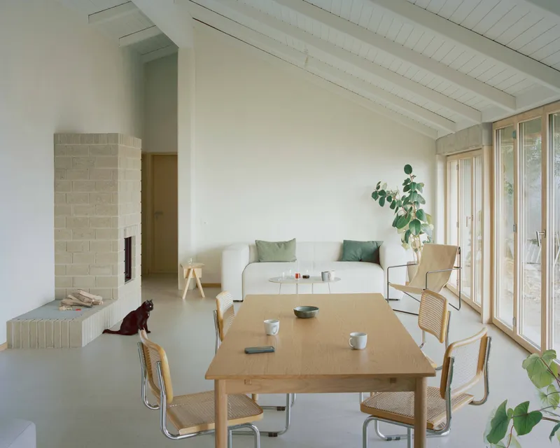 Open living and dining space with exposed timber ceiling, concrete fireplace, and dog on polished floor