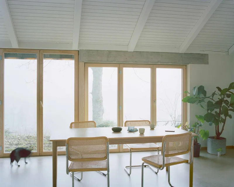 Timber-framed window wall with dining table, concrete beam, and cat crossing the floor