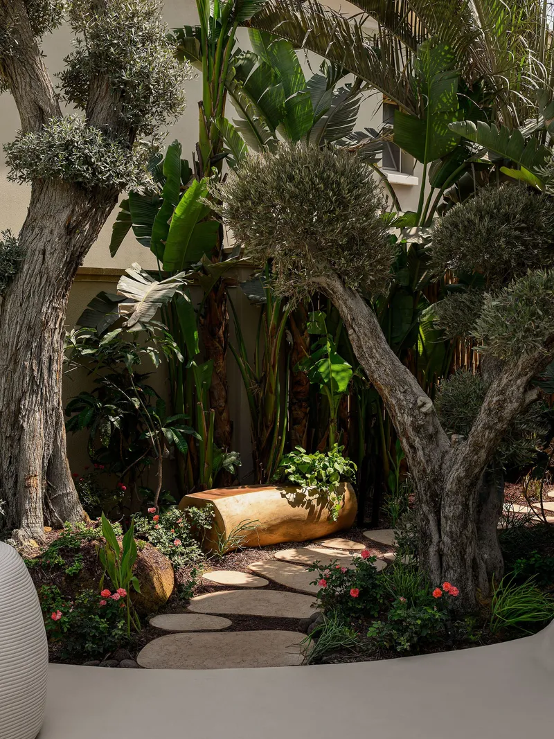 Stepping stone pathway winding through planted garden beds with olive trees and banana palms