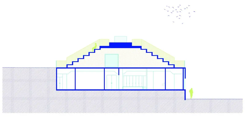Section drawing revealing the stepped seating profile beneath a curved roof with birds overhead