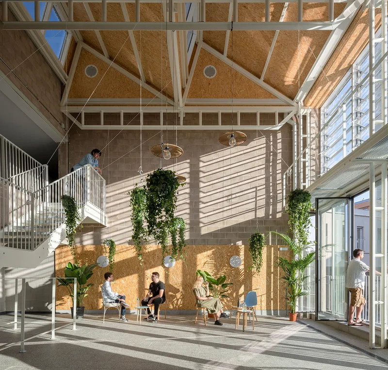Double-height atrium with exposed timber trusses, oriented strand board panels, and hanging planters in bright daylight