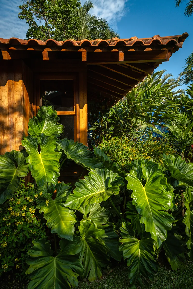 Entry portal framed by timber posts and exposed rafters with lush elephant ear plantings below