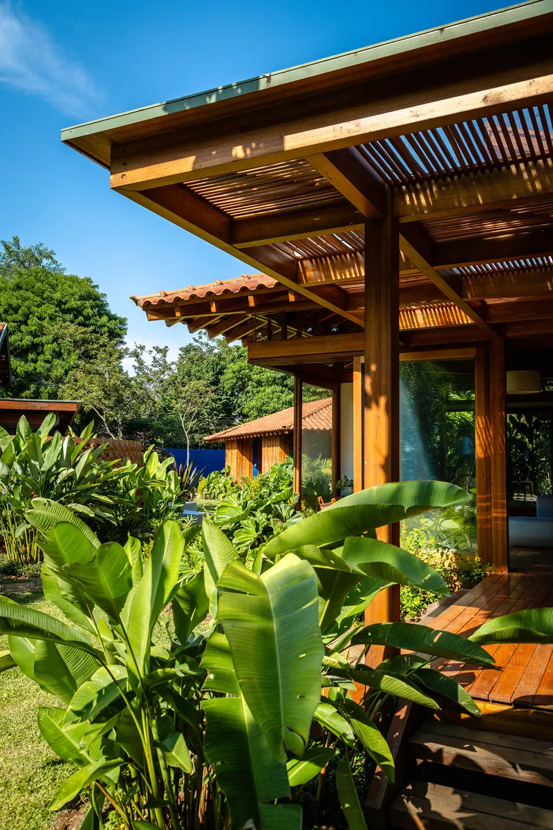 Cantilevered timber roof with exposed slatted ceiling shading glass walls and banana leaf plantings