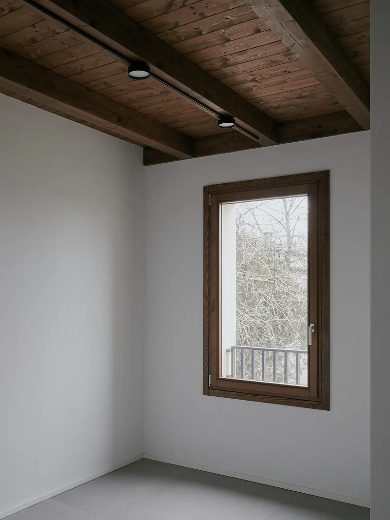 Timber-framed window overlooking bare winter trees with track lighting on the wood ceiling above