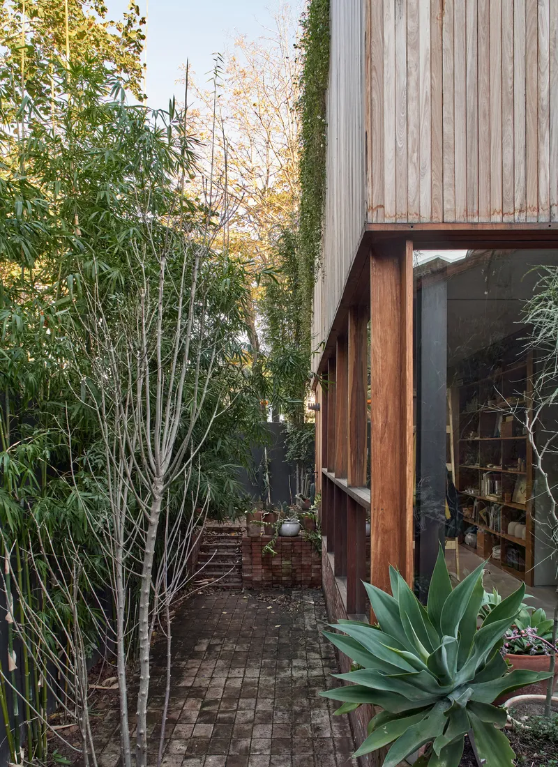 Side courtyard view showing vertical timber cladding, glazed lower level and brick paving among planted agave