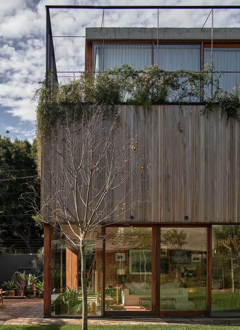Weathered timber facade with planted rooftop terrace and bare tree in afternoon light