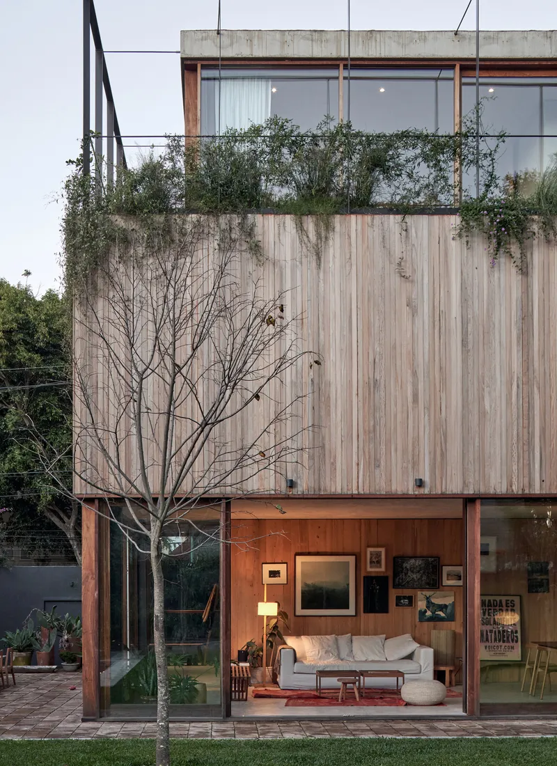 Three-story elevation showing vertical timber cladding with planted terrace and bare tree
