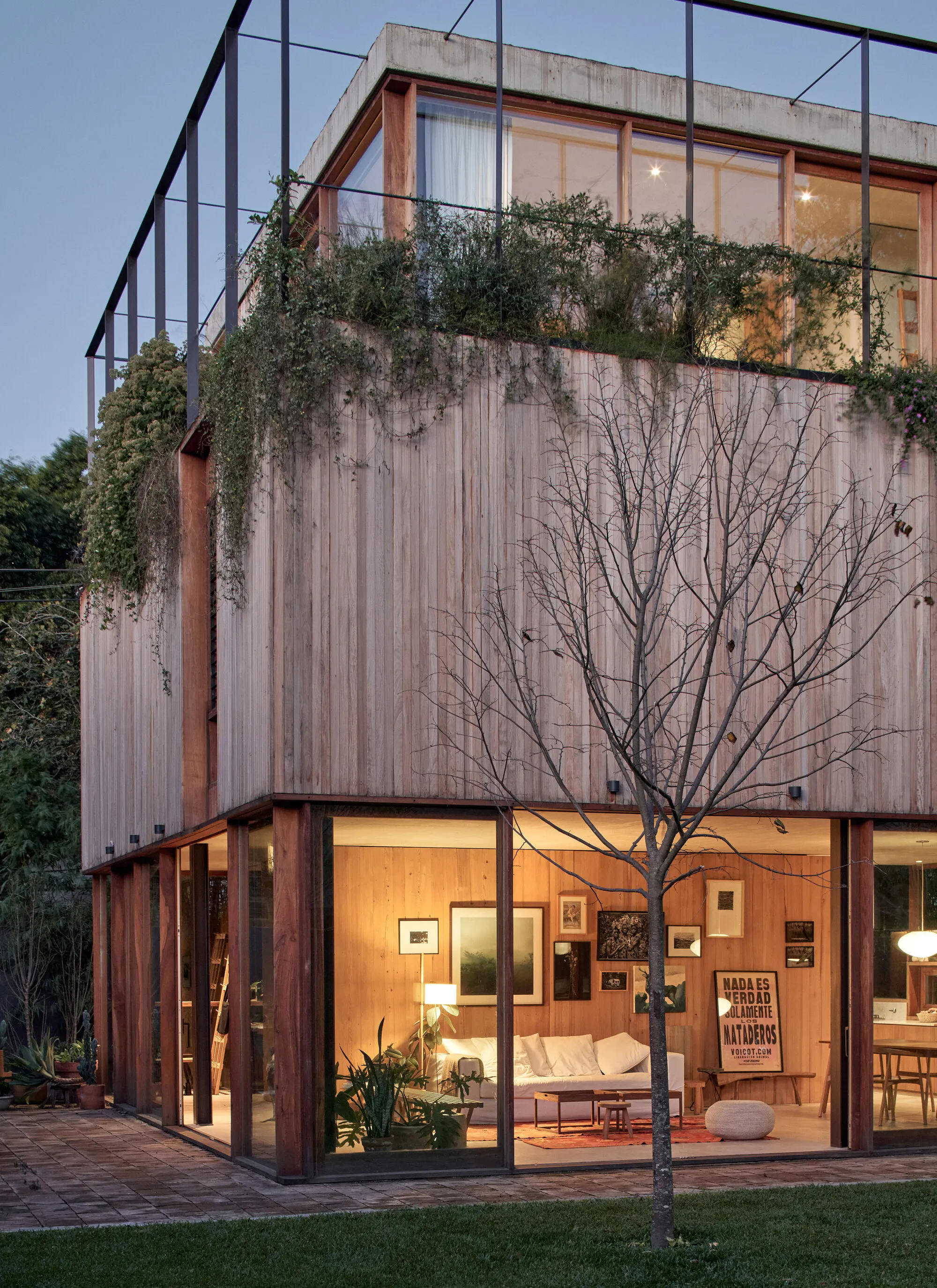 Ana Smud Wraps a Glass Pavilion in Timber and Garden to Build a Private World in Buenos Aires
