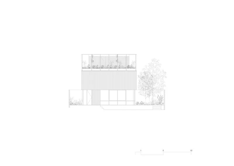 Elevation drawing showing glazed lower level and solid upper volume with rooftop garden and adjacent tree