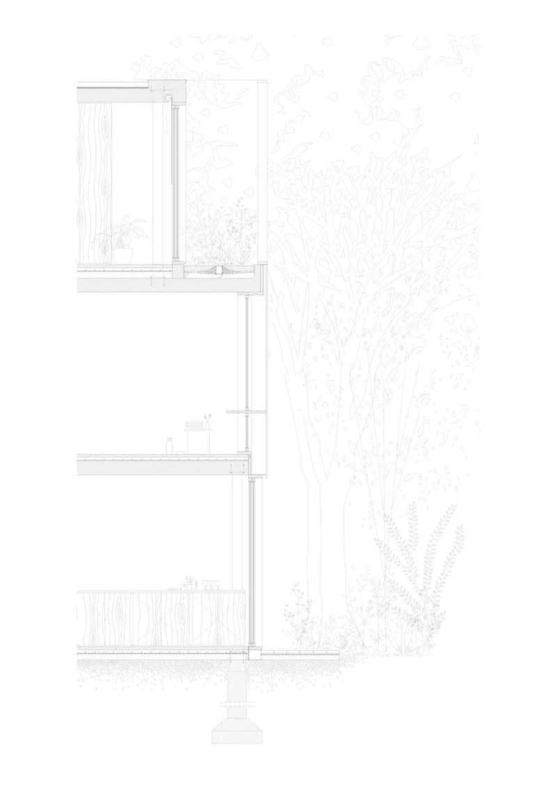 Wall section drawing detailing floor slabs, window openings and vertical green wall plantings
