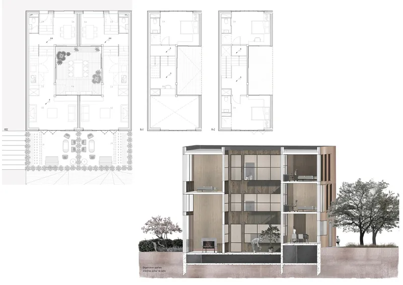 Detailed floor plans and sectional perspective revealing spatial organization around a central patio.