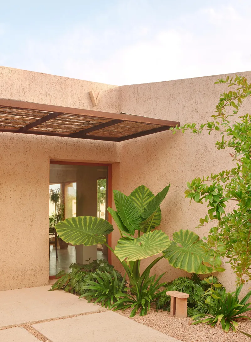 Courtyard entry with timber shade canopy and planted bed of large-leafed tropicals